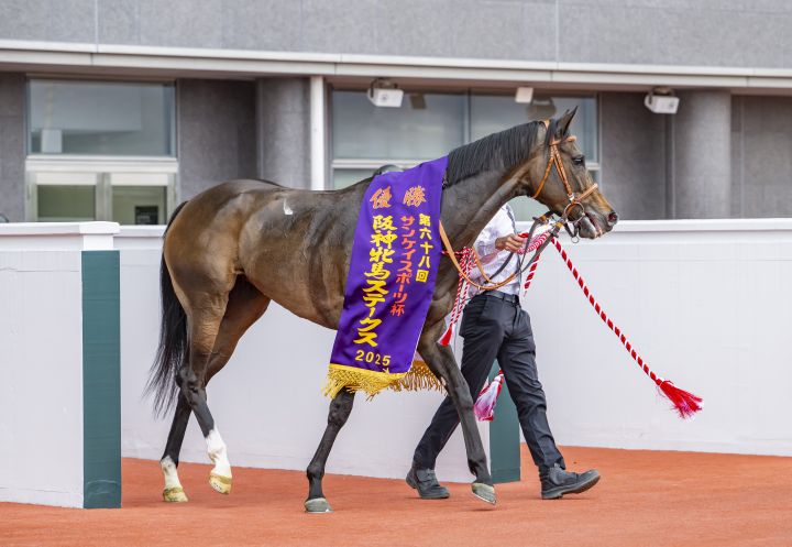 サフィラ号 阪神牝馬ステークス(G2) 優勝｜シルク・ホースクラブ公式