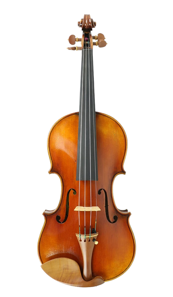 Helmut-Illner-D-Model-Violin-