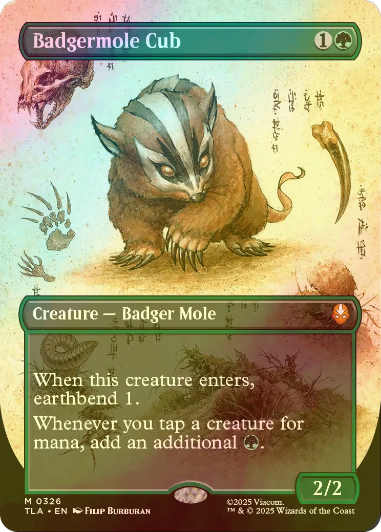 MTG アナグマモグラの仔 ＆ ブーメランの基礎 日本語 セット