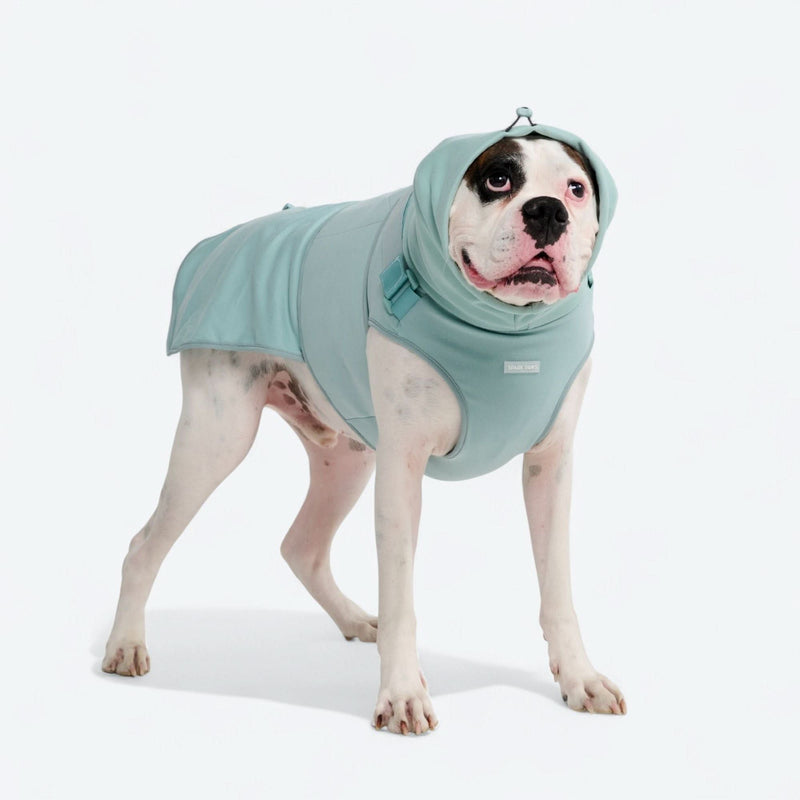 Anxiety Calming Suit - Teal – SPARK PAWS