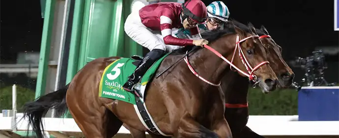 アネモネS】スズカゼ、同舞台Vの2走前より「良くなってる