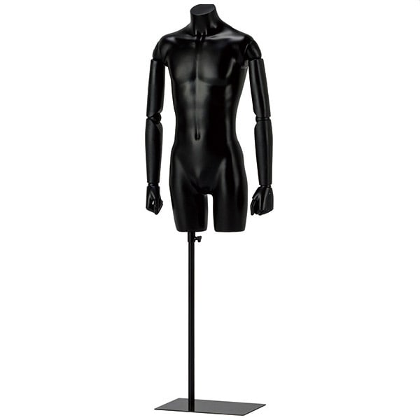 トルソー成人男性型