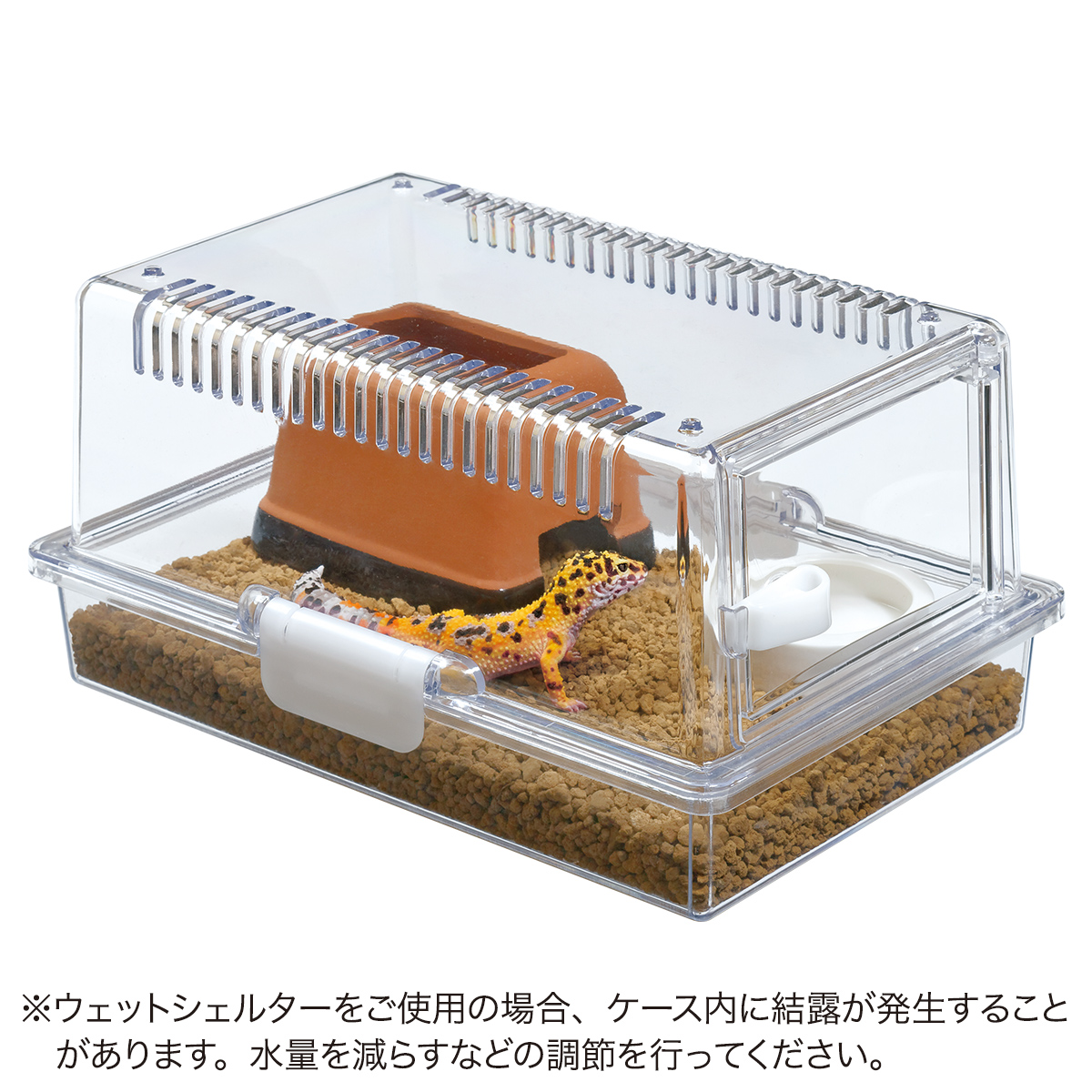 はきちゃん】爬虫類ケージ×5 30×20×15 フォロ割 はきちゃん】爬虫類