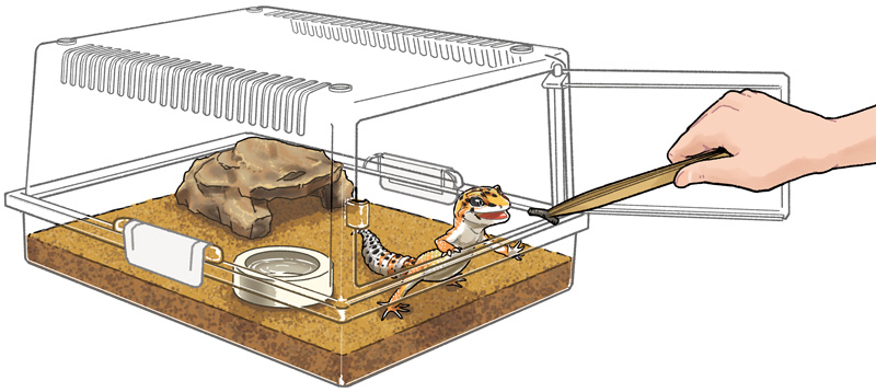 レプティギア 300 | 株式会社スドー｜観賞魚・水草 爬虫類 小動物 小鳥用品