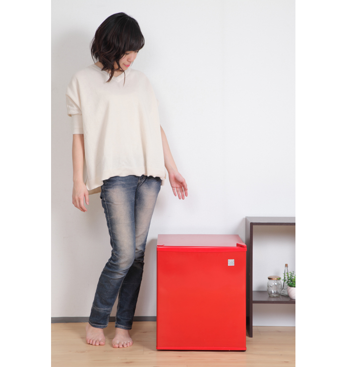 SUNRUCK 電子冷蔵庫 SR-R4803 2023年製 生産終了品】 ペルチェ式 48