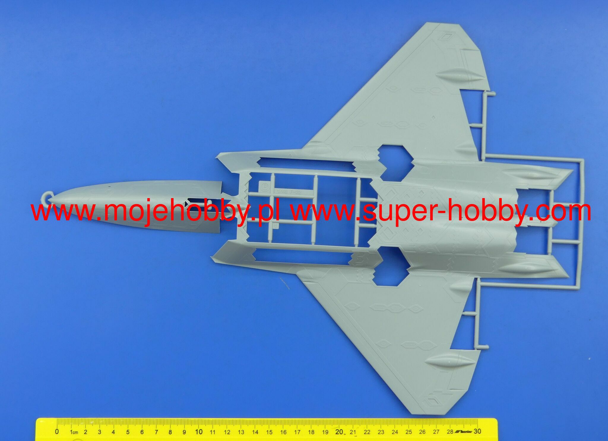 Ace Combat 7 Skies Unknown F-22 Raptor 'Strider 1' Hasegawa SP558