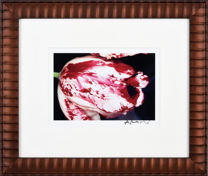 荒木 経惟「写真集『色情花』より」の販売 | 美術品販売｜東京銀座