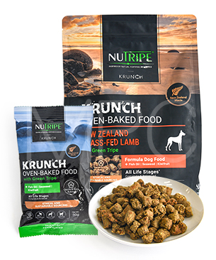 ニュートライプ DOG クランチ オーブンベークド キングサーモン＆ツナ