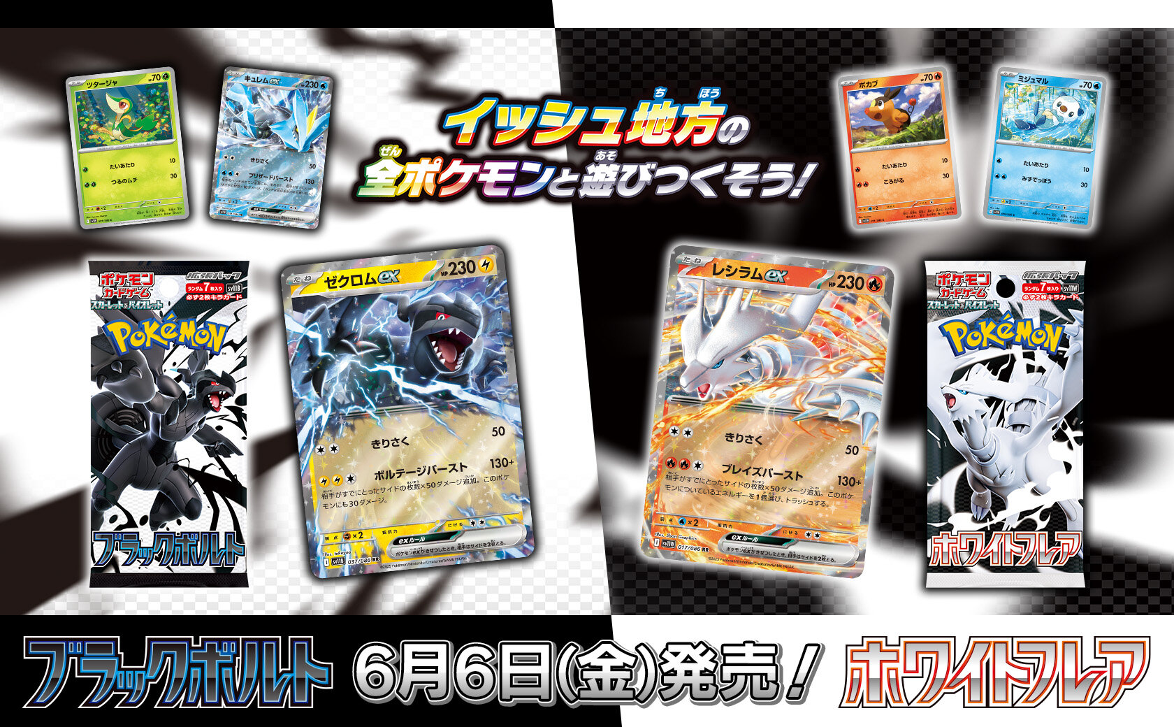 ゼクロムex レシラムex BWR メガリダードンx 3枚セット ゼクロムex 174