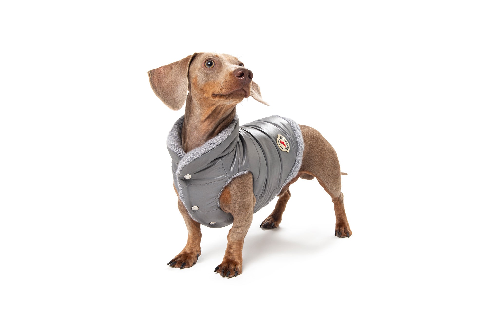 POLDO X MONCLER – Poldo Dog Couture