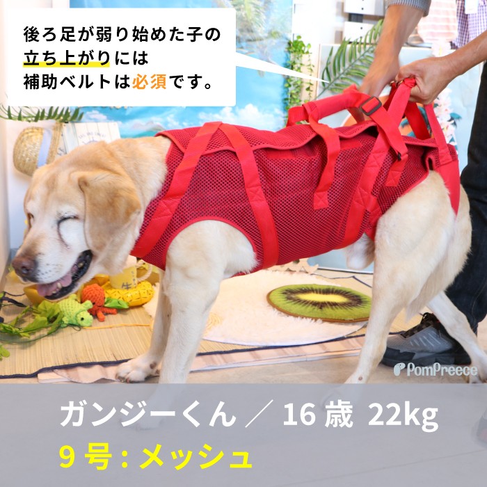 犬用介護ハーネス・エリザベスカラー・洗えるペットシーツなど犬猫用