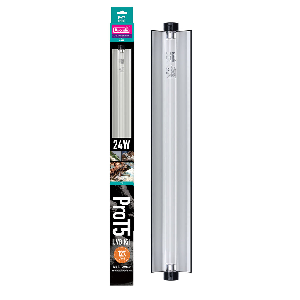 RARTP24R_1024x1024.jpg?v=