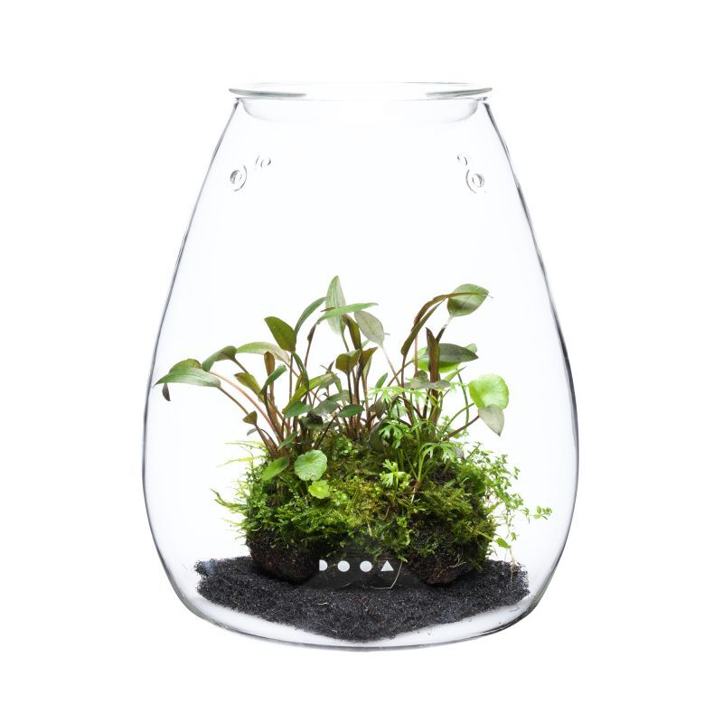 セット】ADA DOOA マグネットライトG ガラスポットSHIZUKU セット】ADA