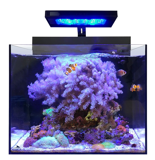 飼育用品・器具】【海水 セット水槽】【MMC企画】 オルカ シェルII