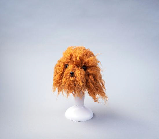 トリミング用品/トリミンググッズ/レッスンドッグ｜あにまるキャンパス