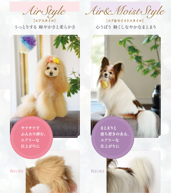 ZOIC ファーメイク EX エッセンスA 400ml/あにまるキャンパス