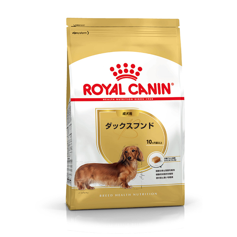 販売 スーパーゴールド フィッシュ&ポテト子犬 成犬 森乳 ブリーダー