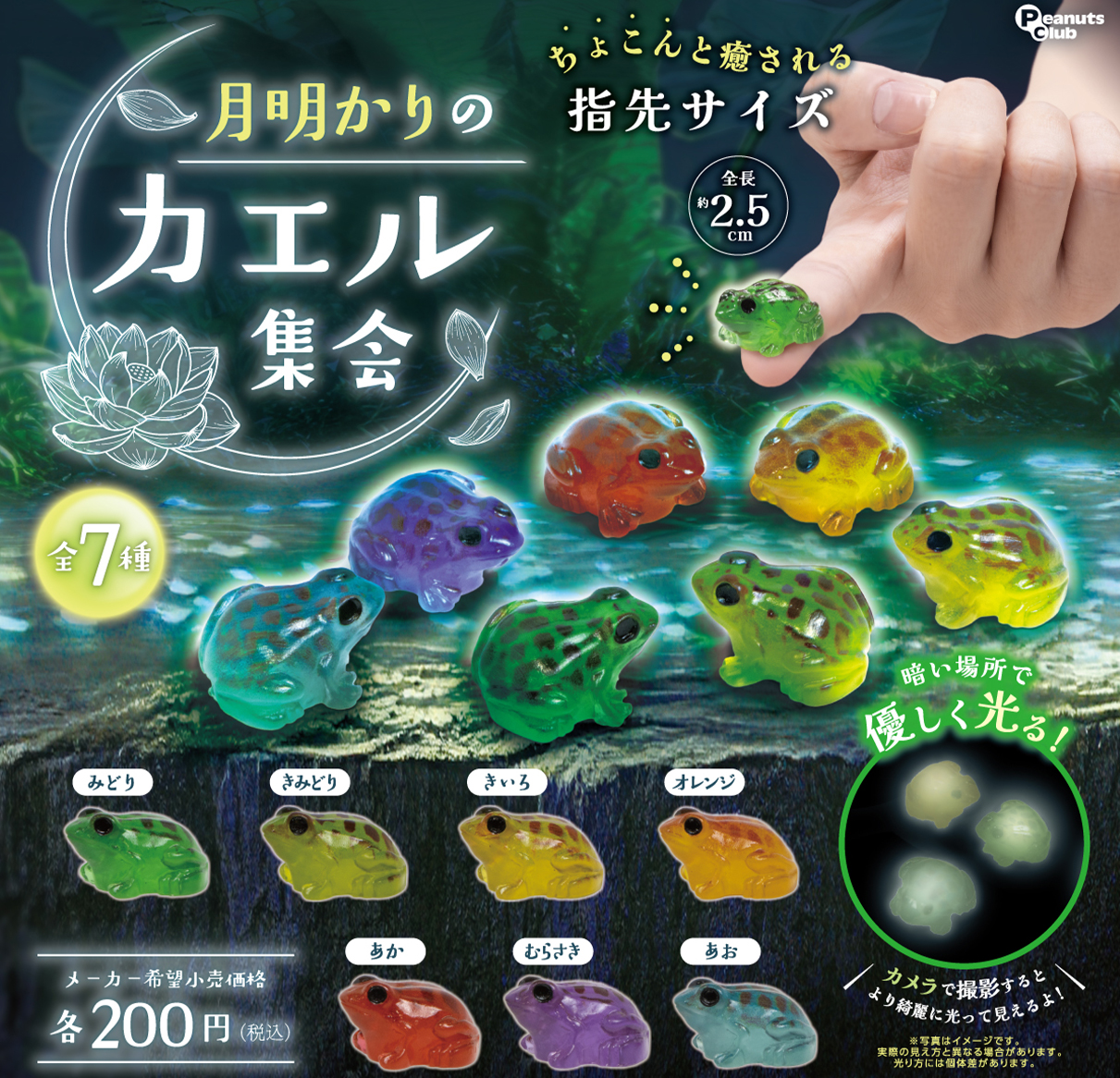 月明かりのカエル集会 ｜ 株式会社ピーナッツクラブ | Peanuts Club co
