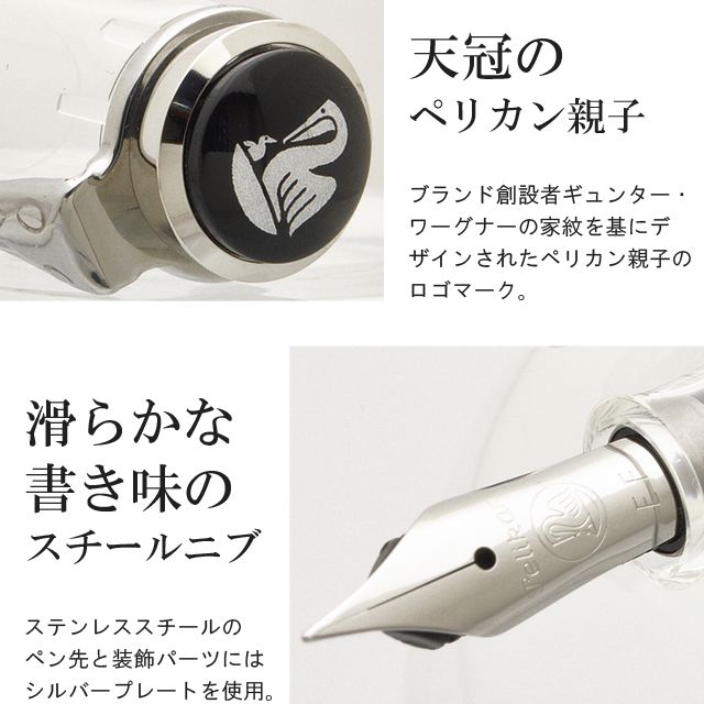 Pelikan ペリカン 万年筆 特別生産品 M205 DEMONSTRATOR