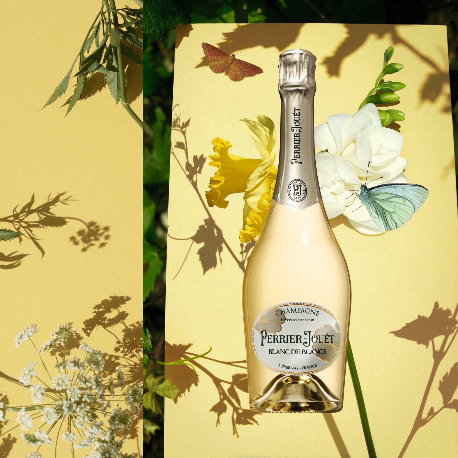 ペリエ ジュエ ブラン・ド・ブラン - 春の初日を祝う完璧な