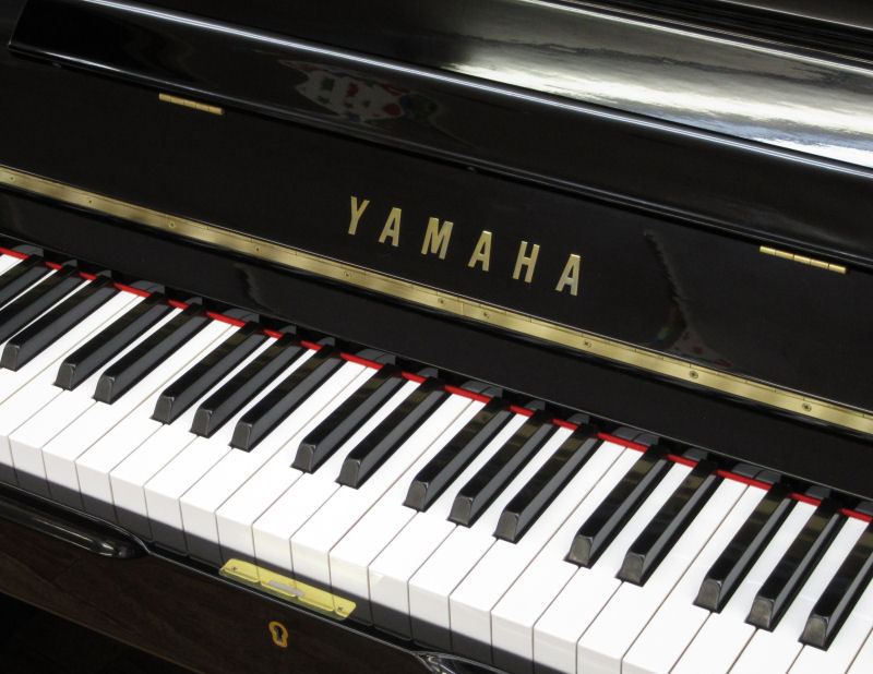 ゆず 数量限定発売 ピアニカ ゆずのね YAMAHA ゆず 数量限定発売