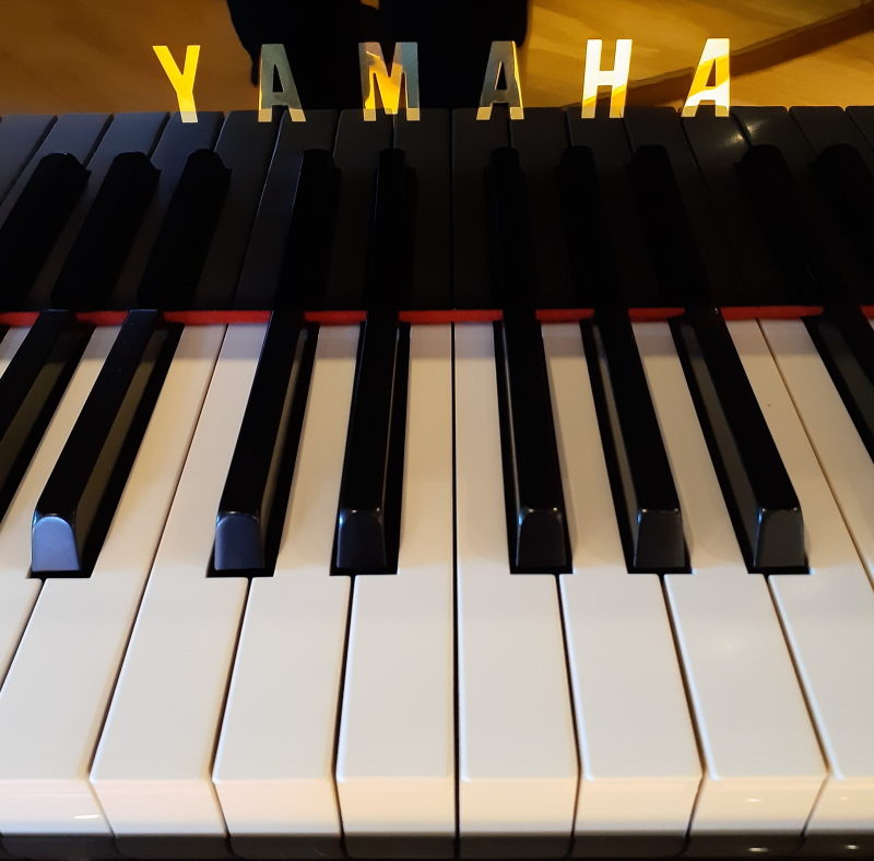 株式会社ピアノプラザ | YAMAHA C1TD(6527)