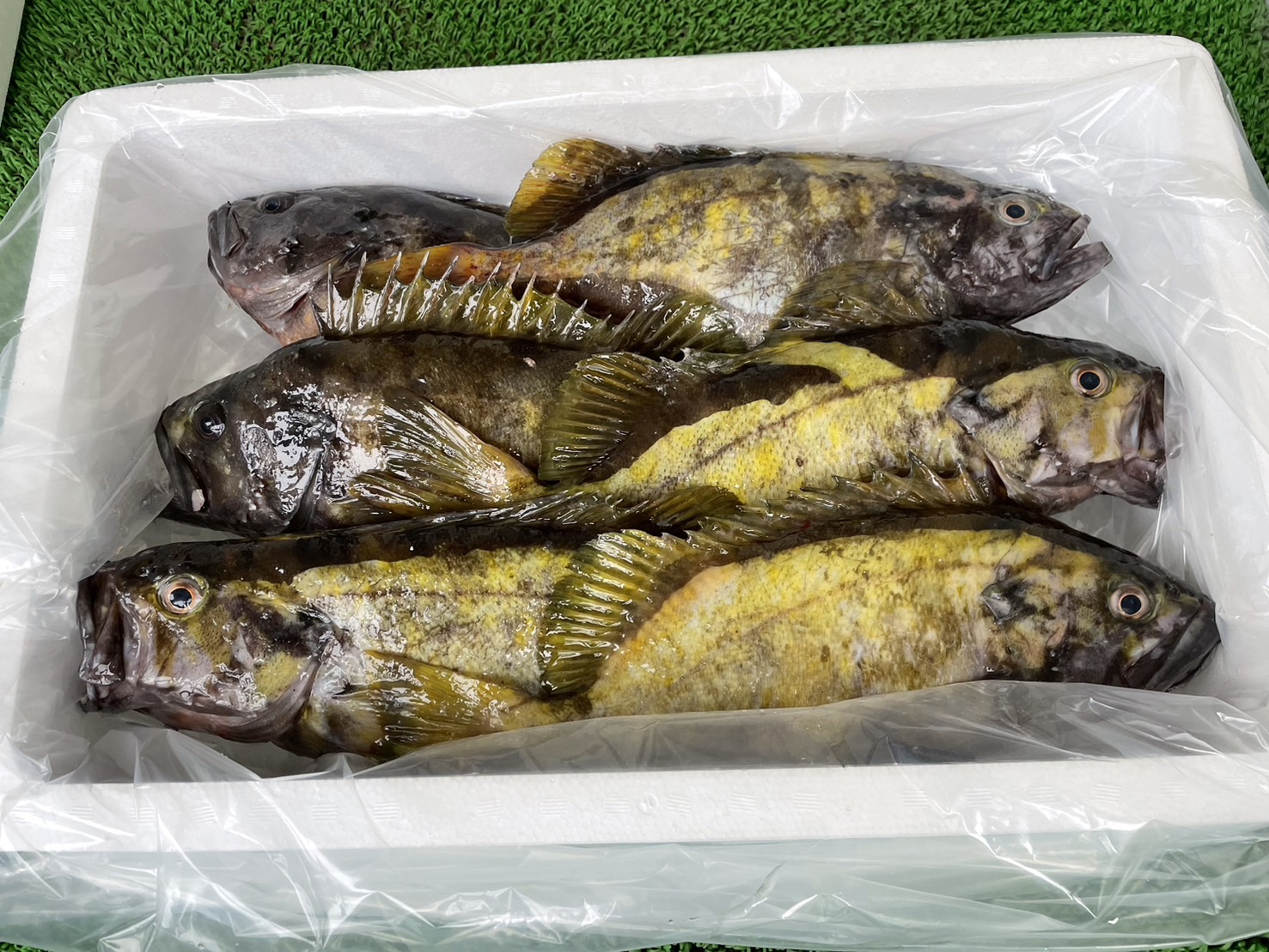 海】アプサラ像 青銅製 高約：57cm 重量約：5．5kg