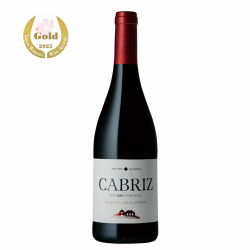 Buena Vista 1857 2021 高級赤ワイン 750ml Buena Vista 1857 2021