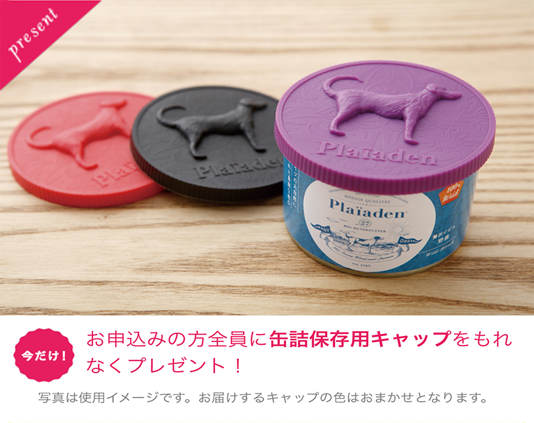 仔牛と洋梨200g 定期購入｜ドッグフード無添加｜プレイアーデン公式