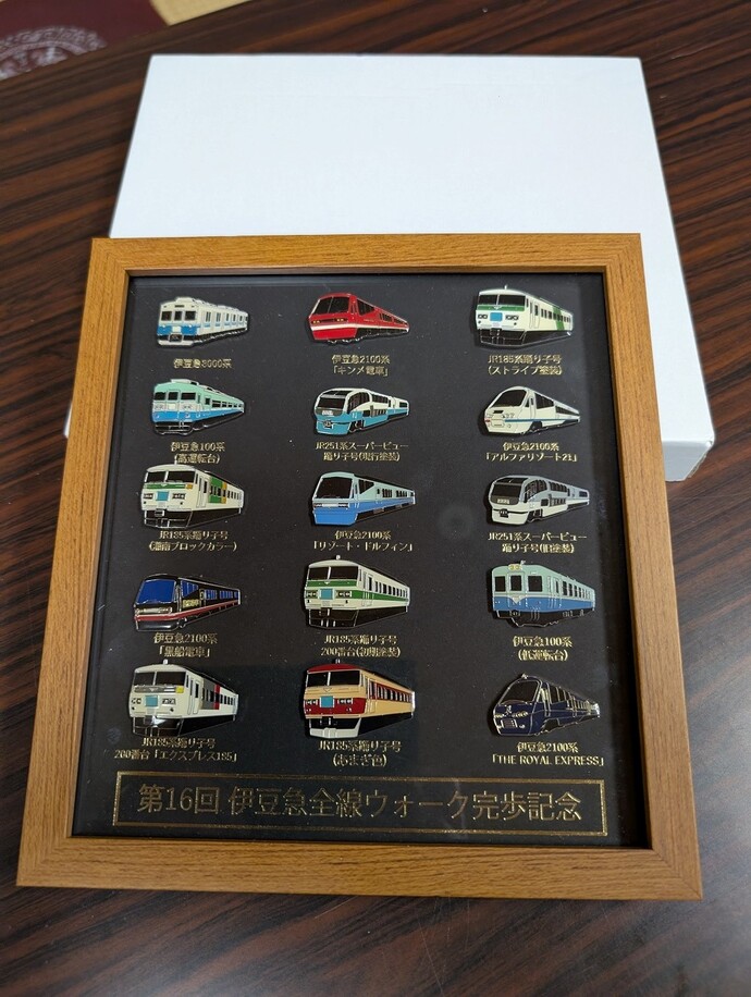 第7回 伊豆急全線ウォーク完歩記念 非売品 4月1日〜2024