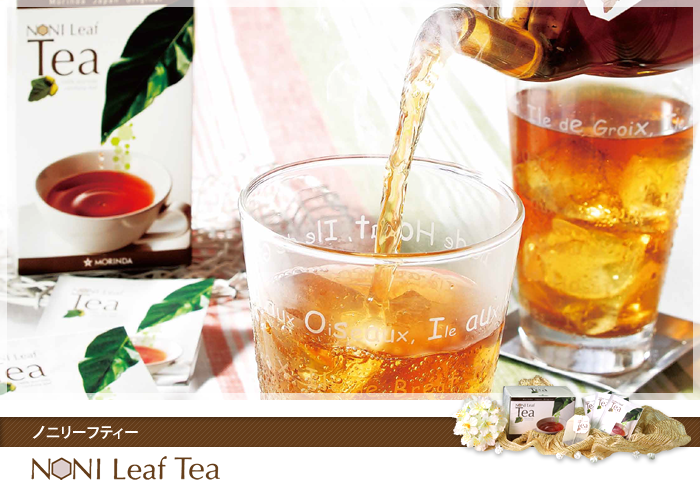 モリンダ ノニリーフティー ノニリーフティー〈微粉末/スティック