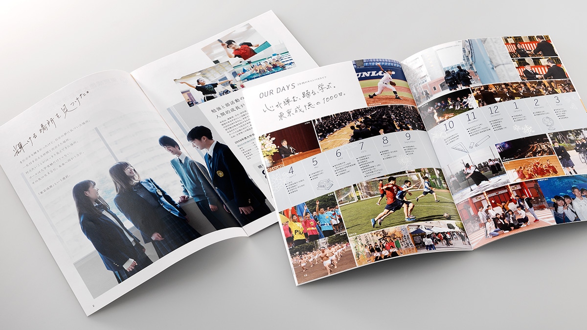 レア 立教大学 1965年 昭和40年 学校案内 パンフレット レア 立教大学