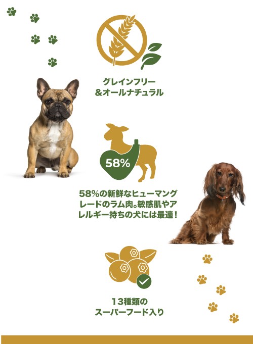 ドッグフード｜CP ラム＆リンゴ