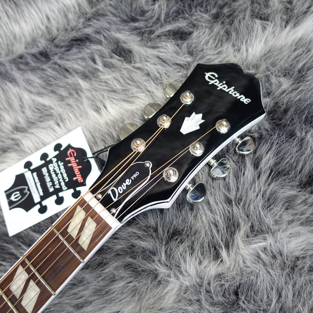 Epiphone Limited Edition ギター 41LStq-sBLL.jpg