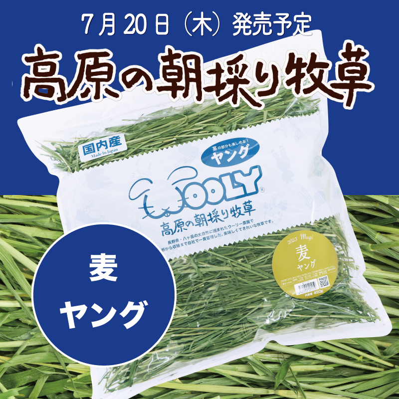 2024高原の朝採り牧草「麦」ヤング 450g 3袋セット 高原の朝採り牧草