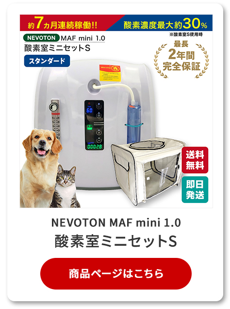 楽天市場】【即日発送】1,000円OFFクーポン 期間・台数限定配布中