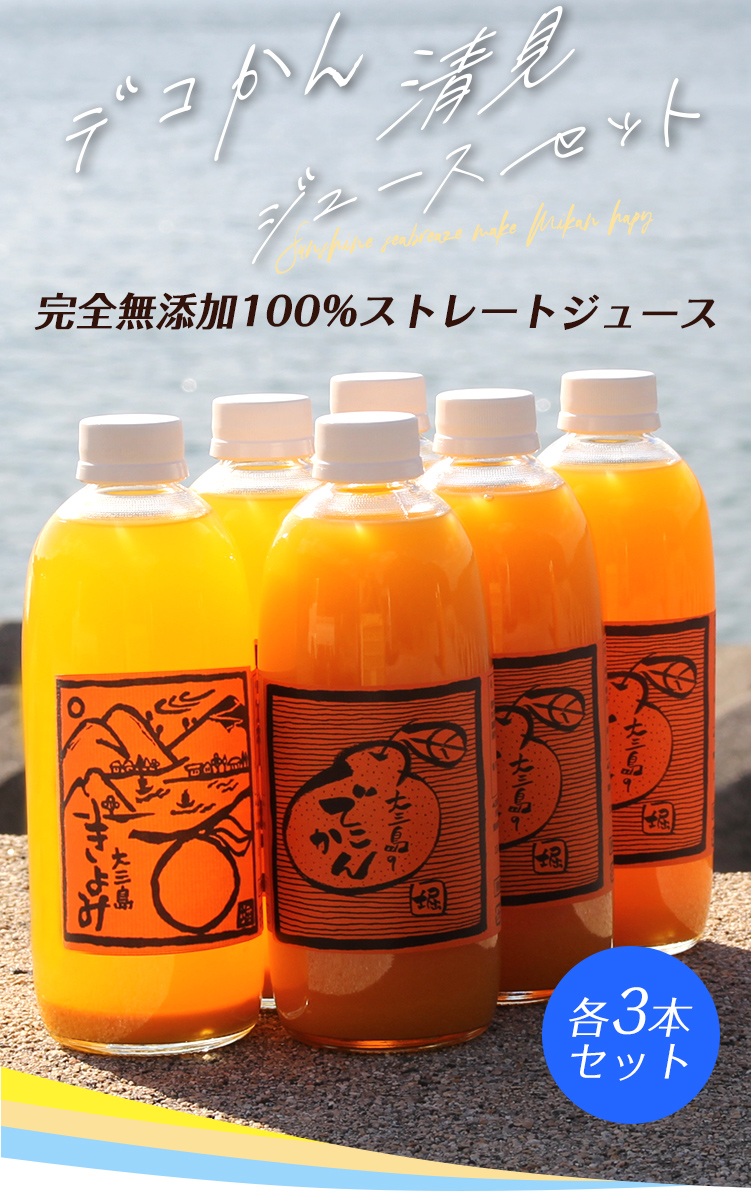 ヨッちゃん】500mlみかんジュース12本＊2箱 【2箱縛りでの発送