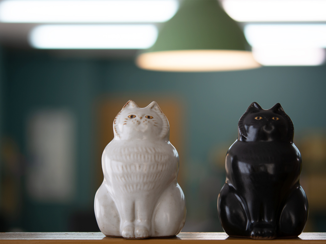 猫千代 0827 カード検索 ｜ Z/X - Zillions of enemy X - ゼクス公式サイト