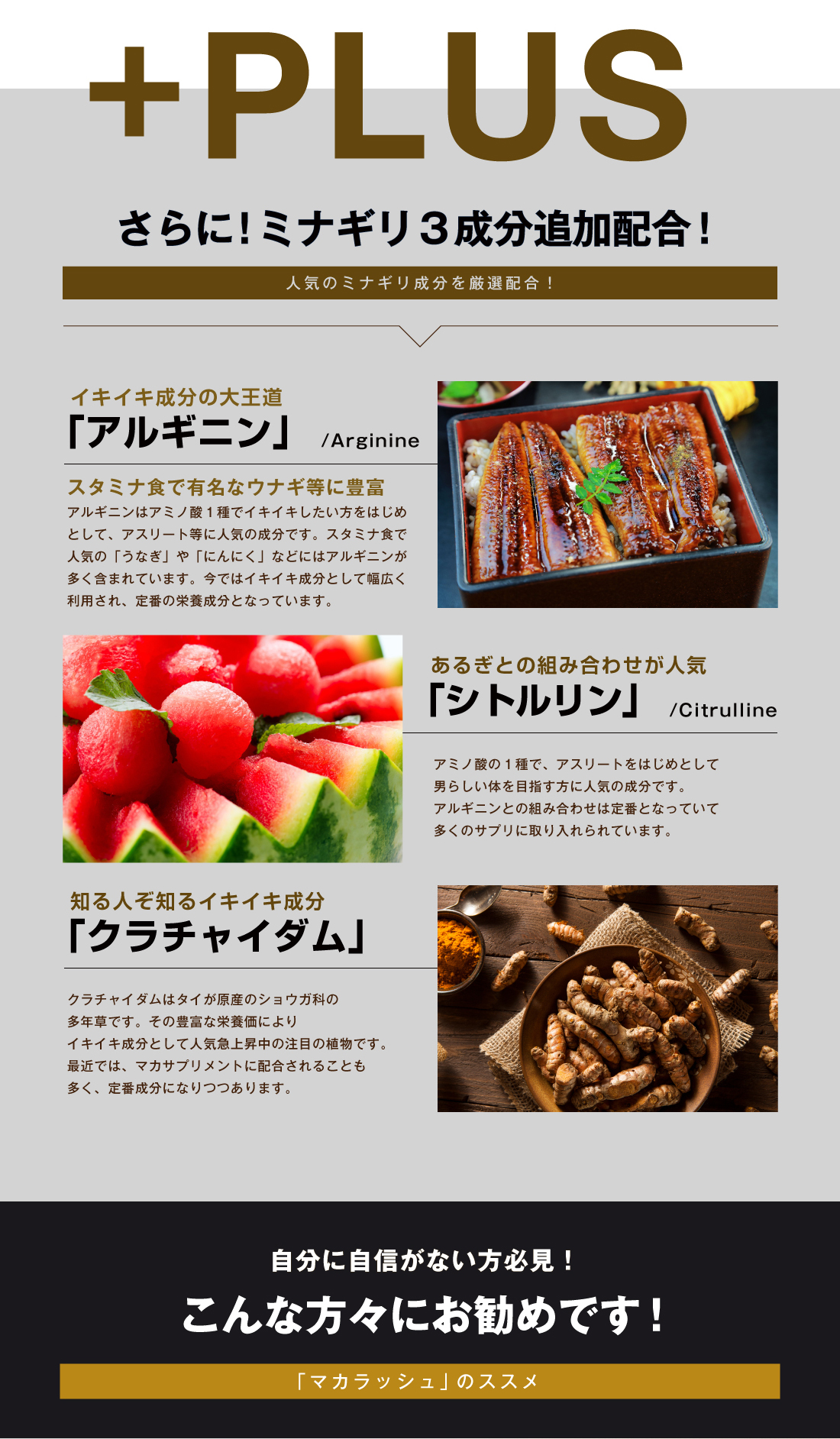 楽天市場】マカ サプリ『マカ ラッシュ 90粒』 : あっと＠バディ