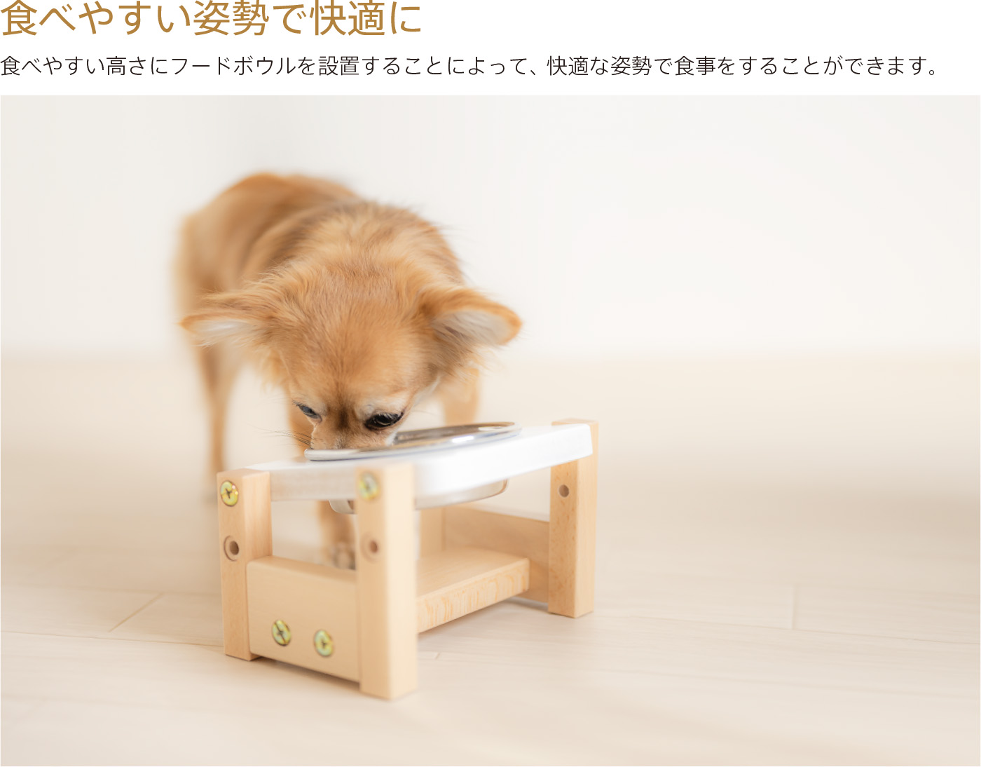 楽天市場】日本製 ペット用 フードボウルスタンド 「わんわんテーブル