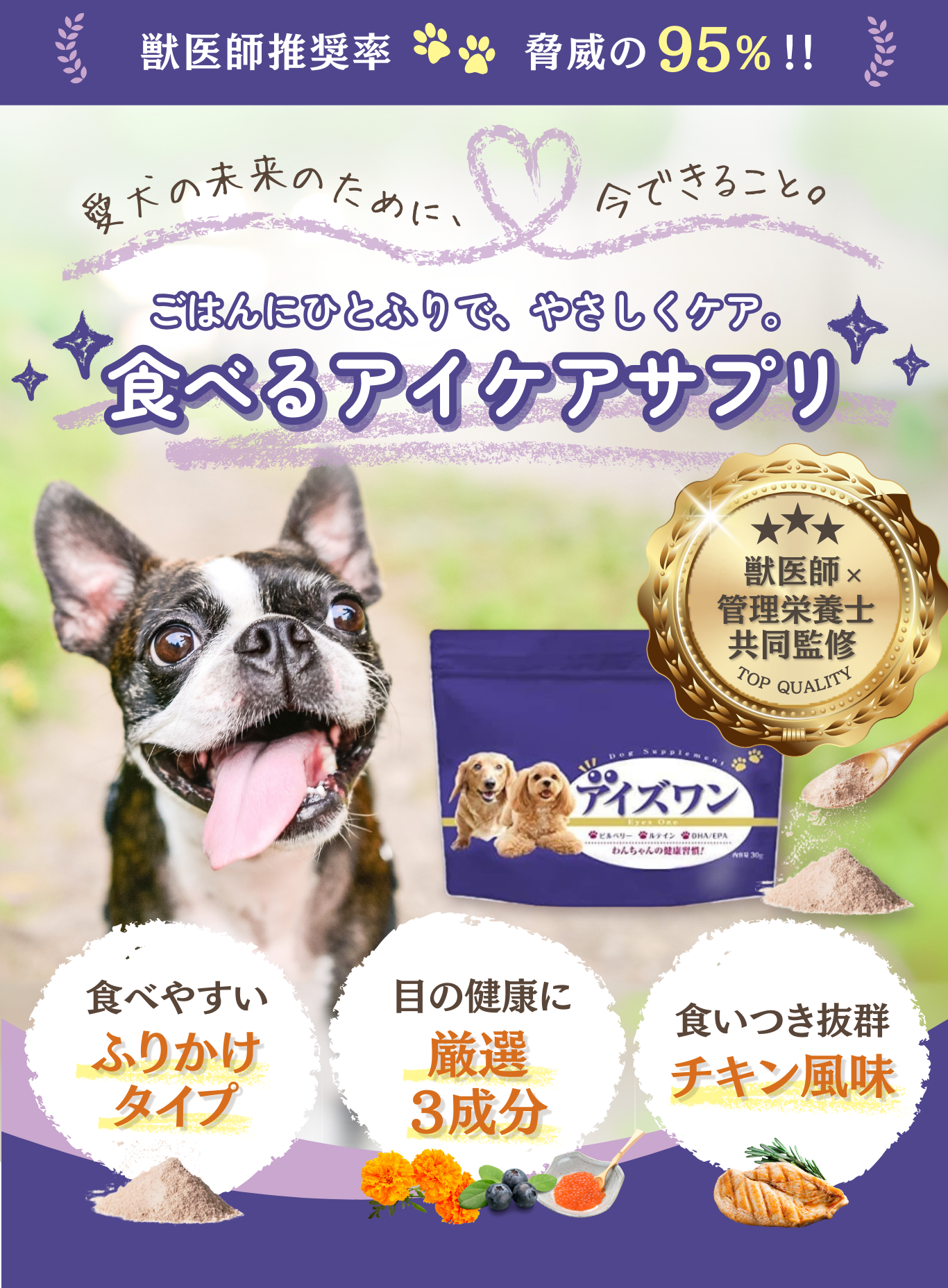 楽天市場】【クーポン使って最大15%OFF】犬 目 サプリメント サプリ