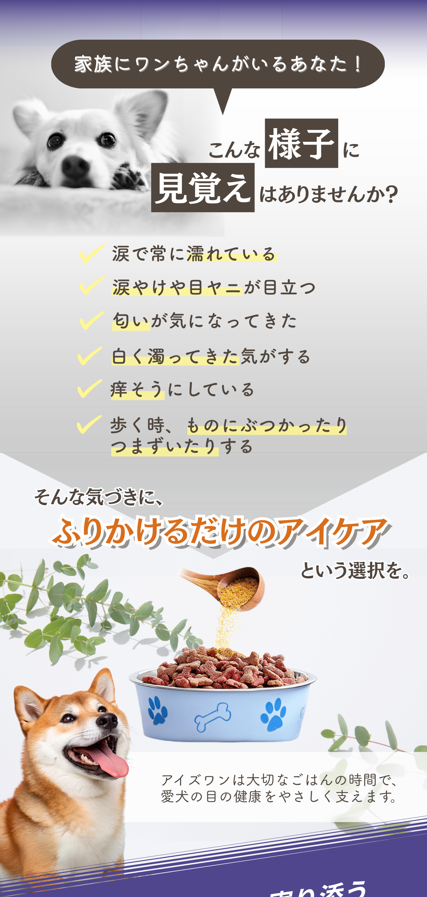 楽天市場】【クーポン使って最大15%OFF】犬 目 サプリメント サプリ