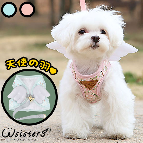 楽天市場】【メール便のみ 送料無料】犬 ハーネス 羽付き 天使