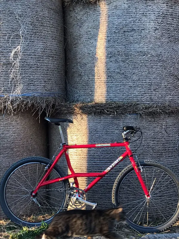 Alpinestars Cro Mega DX 1992 | Retrobike