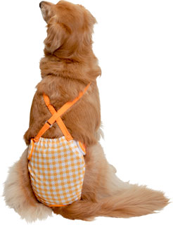 メッシュチェックサニタリーパンツ（大型犬用）