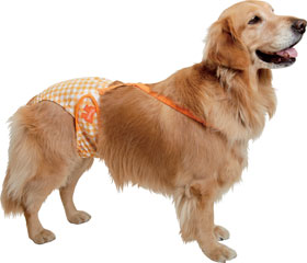 メッシュチェックサニタリーパンツ（大型犬用）