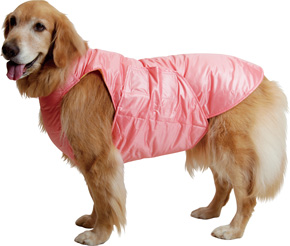 アルファアイコン エアライナー +ポケットセットCOSMIC L ALPHAICON