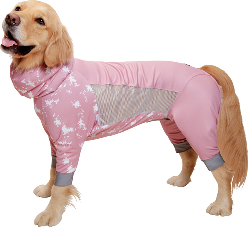 アルファアイコン》 ドッグガードクール（2021）