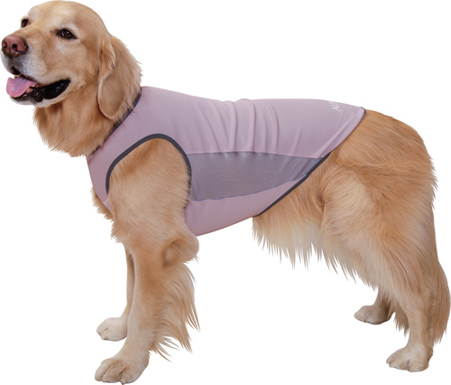 アルファアイコン》サマークーリングタンクトップ（2023）