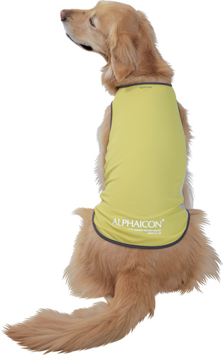 アルファアイコン》サマークーリングタンクトップ（2023）